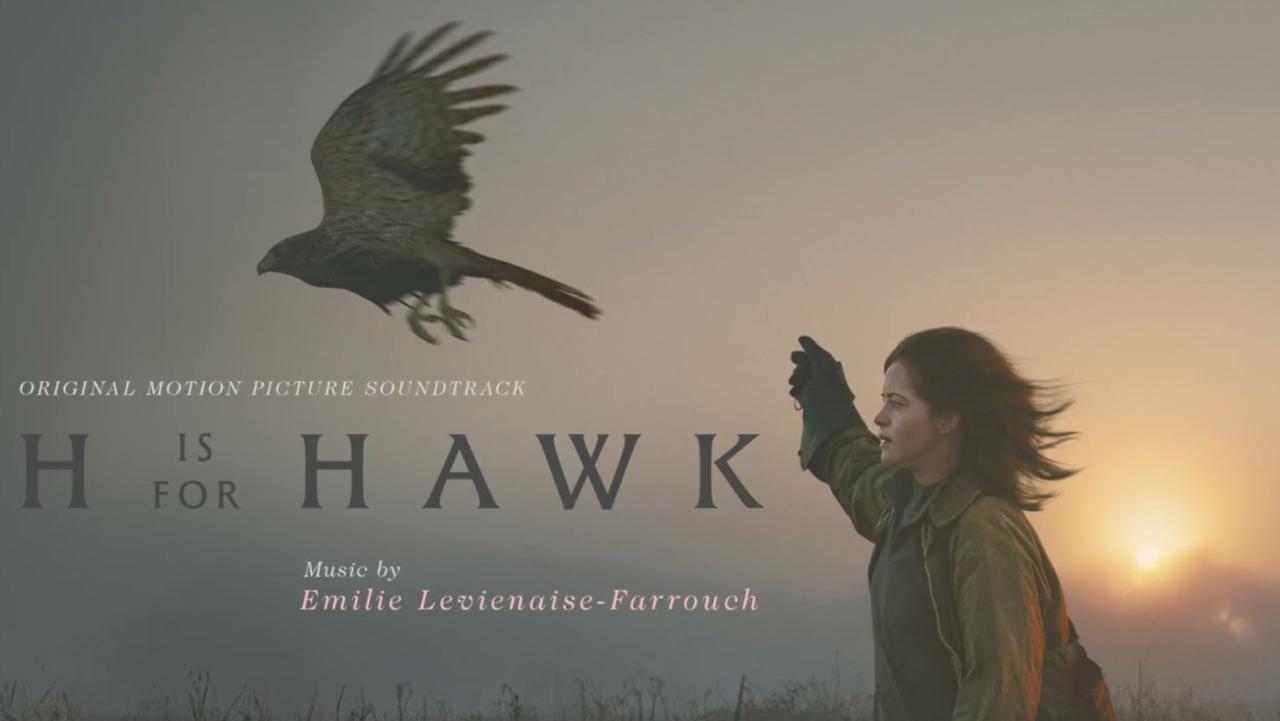 مشاهدة فيلم H Is for Hawk 2025 مترجم